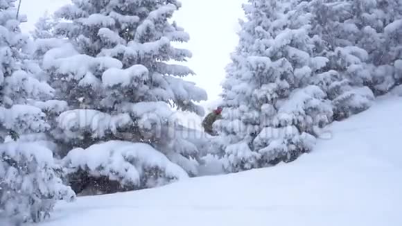滑雪者慢动作骑着深粉雪雪板雕刻在新鲜的雪提供极限免费乘坐滑雪板乘坐新鲜的视频的预览图
