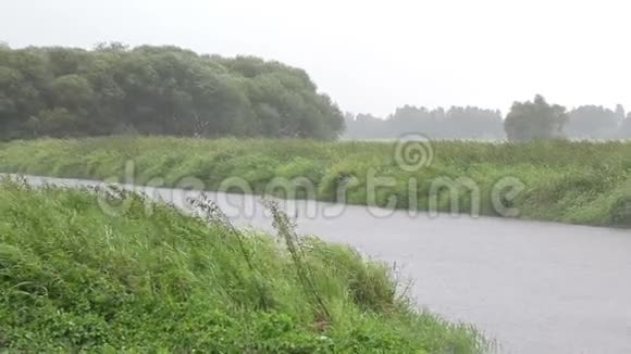 教科文组织Trebonsko保护区和生物圈保护区MAB夏天的暴雨和湿地上的河流视频的预览图