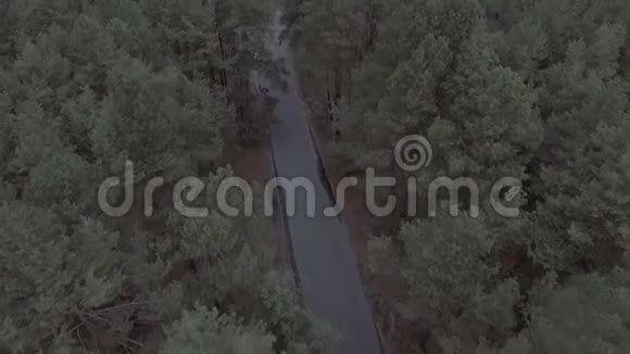 夏日森林道路的空中拍摄视频的预览图