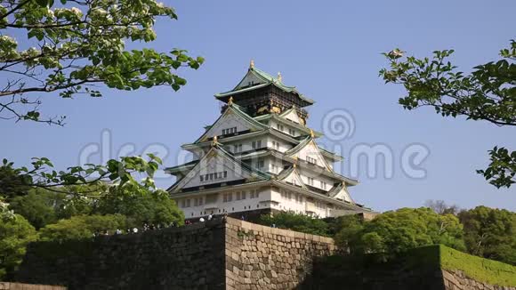 大阪城堡樱花视频的预览图