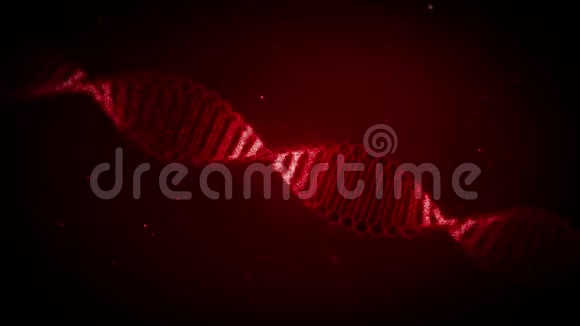 脱氧核糖核酸或DNA视频的预览图