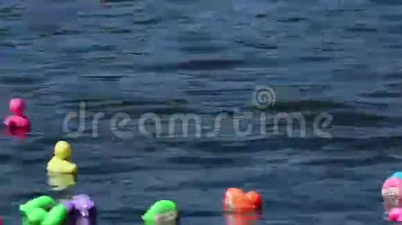 五颜六色的橡胶鸭子在河赛视频的预览图