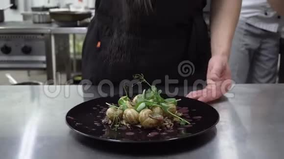 关闭厨师摆盘与蜗牛厨房里的美食视频的预览图