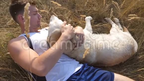 年轻人躺在草地上抚摸他的拉布拉多男主在大自然中玩金毛猎犬爱和爱视频的预览图
