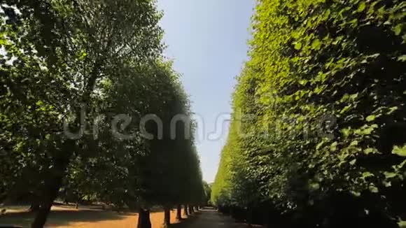 夏天是德国杜塞尔多夫美丽的本拉斯公园摄像机移动上坡视野视频的预览图