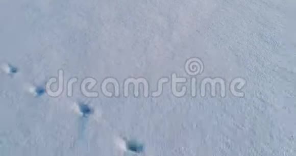积雪覆盖区域有脚印航拍视频视频的预览图