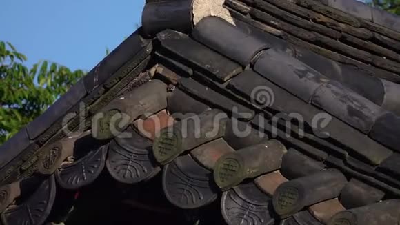 小麻雀从巢中走出在一个古老的传统韩国瓷砖屋顶的中空城市生活中的动物视频的预览图