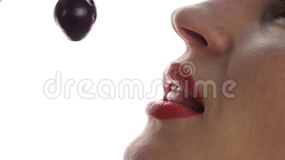 美丽的女人舔和吃樱桃在白色的背景特写女孩咬樱桃慢动作视频的预览图