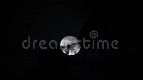 在神秘的黑暗夜空满月万圣节的幽灵主题月光下的棕榈树视频的预览图