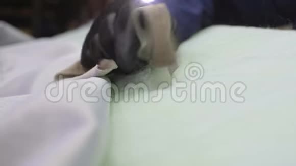 一家家具厂的年轻人把棉花放在沙发的一部分视频的预览图
