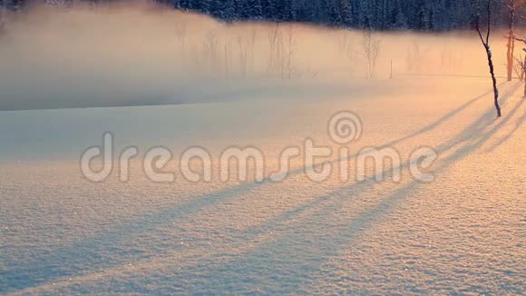 黄昏的雾笼罩着白雪覆盖的草甸视频的预览图