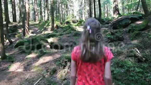小女孩在晴天穿过森林视频的预览图