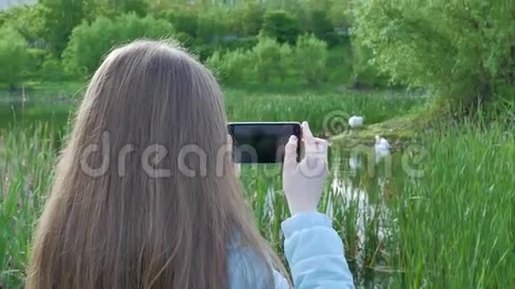 女孩正在河两岸用智能手机拍摄天鹅的照片视频的预览图