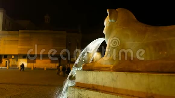 在罗马最美丽的广场广场广场上一头狮子从嘴里喷出水来这是一个夜晚的镜头视频的预览图