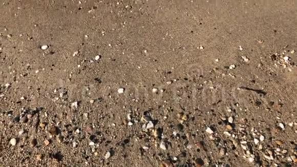 夏天沙滩上的光滑海浪视频的预览图