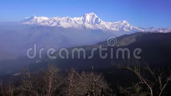 尼泊尔日出时的德拉吉里山视频的预览图