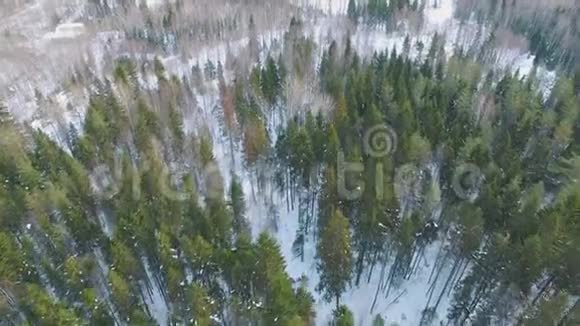 冬季森林的俯视图白雪皑皑的乡村景观树木繁多视频的预览图