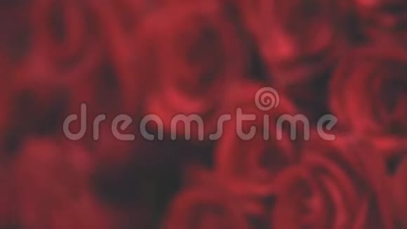 裁剪的视频美丽的大红色玫瑰花束视频的预览图