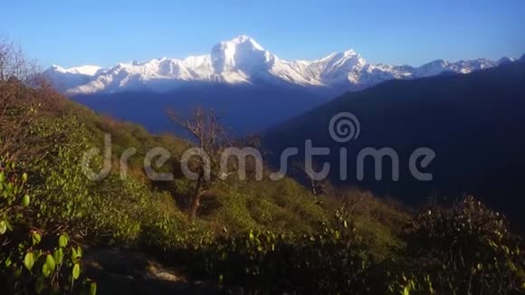 尼泊尔日出时的德拉吉里山视频的预览图