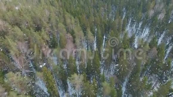 冬季森林的俯视图白雪皑皑的乡村景观树木繁多视频的预览图