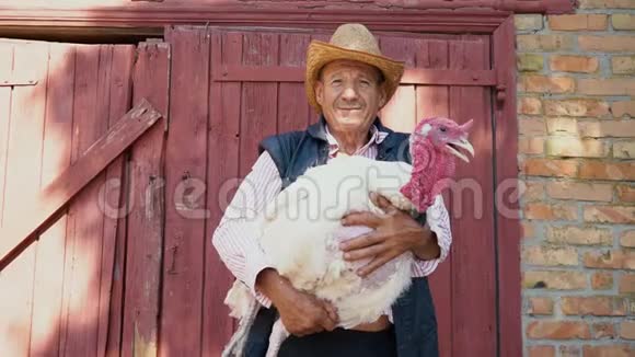 一个戴着草帽的老农夫正拿着一只活的白色火鸡背景上一个带白色火鸡的男人的肖像视频的预览图