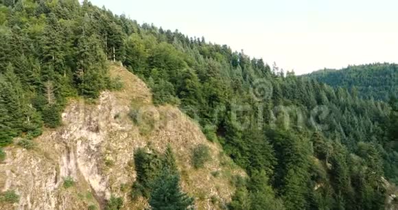 德国的山脉有杉树视频的预览图