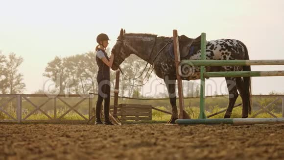 骑师女孩正在用张开的鬃毛抚摸一匹马慢动作视频的预览图