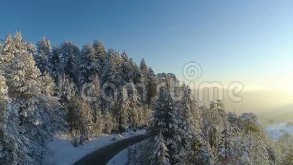 日出时飞越雪林视频的预览图