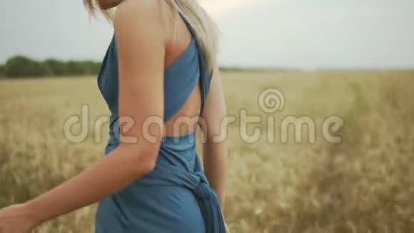 从金色麦田里走过的一件蓝色裙子中看到一位迷人的金发年轻女子的特写镜头自由概念视频的预览图