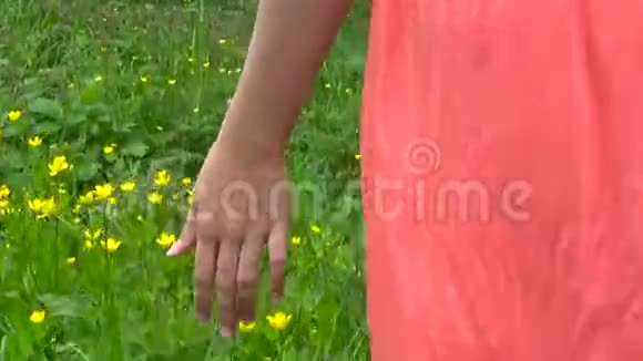 年轻女子手忙脚乱地跑过绿色的野草场触摸野花特写高清视频镜头拍摄视频的预览图