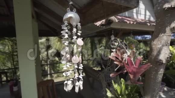 泰国贝壳装饰自然背景自然海洋装饰视频的预览图