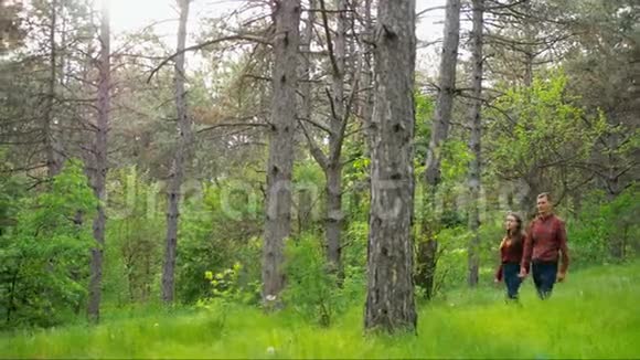 美丽优雅的情侣相爱走在树林里浪漫的约会大镜头视频的预览图