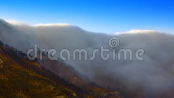 雾在山上视频的预览图