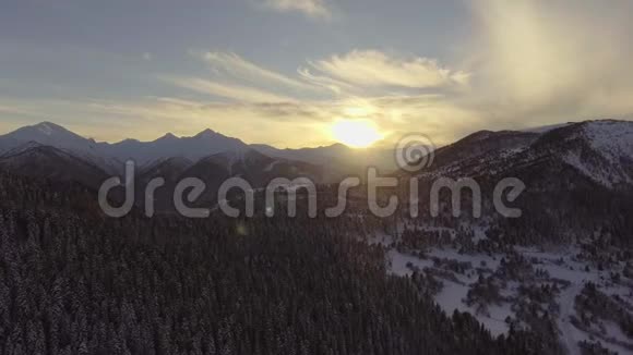 白雪覆盖的山峦树林美丽的山峦的奇妙冬季景观视频的预览图