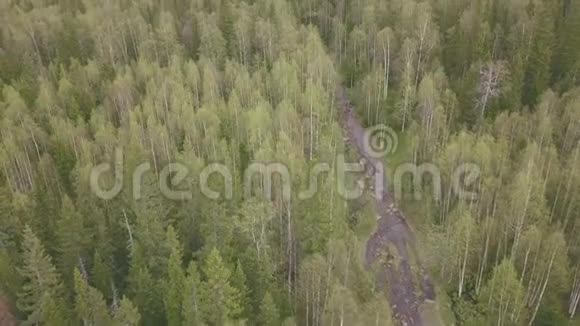 在山上徒步旅行剪辑从山顶俯瞰森林小径多云山区森林全景视频的预览图