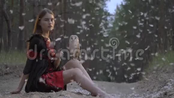 一只浅棕色的猫头鹰看着一个躺在针叶树中间的女孩膝盖上从天上掉下来的羽毛视频的预览图