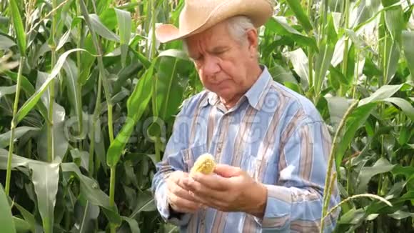 一位年迈的农民在手工玉米谷物中扭动的肖像视频的预览图