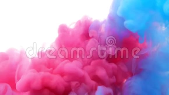 红色和蓝色的油漆在白色的背景下在清澈的水中形成厚厚的粉红色蓝色和紫色的云视频的预览图
