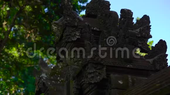 一座用石雕覆盖的猴子森林中的庙宇的墙壁和雕像的缓慢移动的稳定镜头视频的预览图