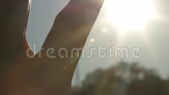 在日落时用手抚摸太阳夏季傍晚4K关门视频的预览图