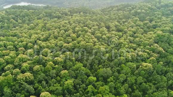 空中绿色森林在经典的穆泰因山谷视频的预览图