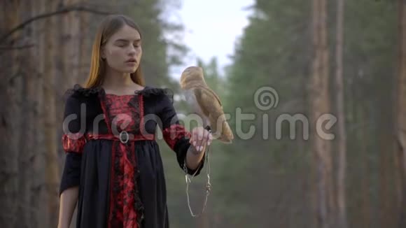 一只浅棕色的猫头鹰在一个针叶林中有纹身的女孩的手臂上有点慢动作视频的预览图