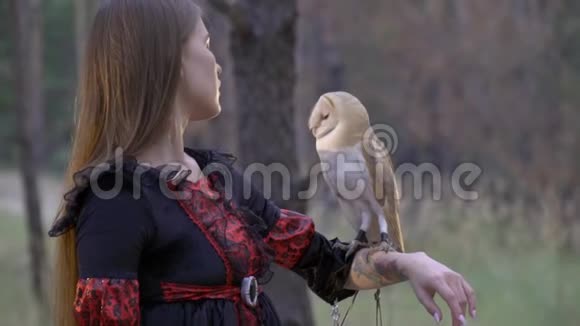 一个穿着黑衣服有纹身的女孩正在检查一只浅棕色的猫头鹰她坐在手臂上在森林里射击有点慢视频的预览图