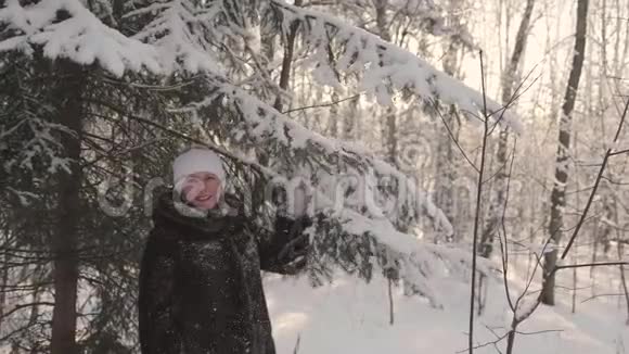 女孩在冬季公园散步把雪从树上重置冬季户外娱乐活动视频的预览图
