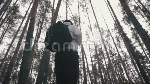 徒步旅行者女孩背着背包走在松林后景在野生动物自然中积极的生活方式和冒险视频的预览图