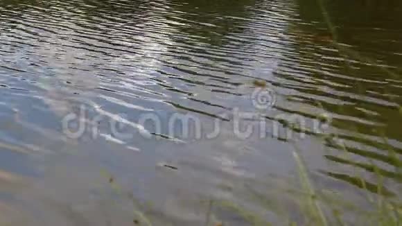 湖泊上流动的水视频的预览图