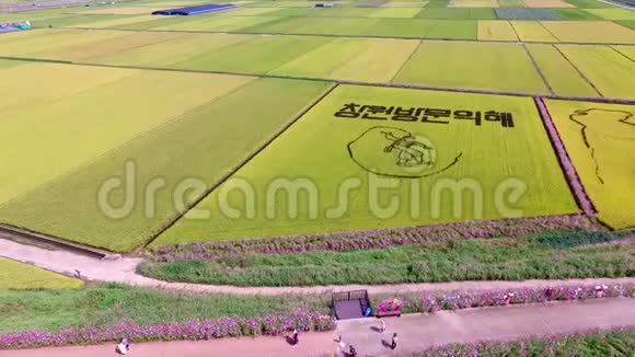 韩国庆南昌原市牧野村宇宙路和水稻稻田绘画的鸟瞰图视频的预览图