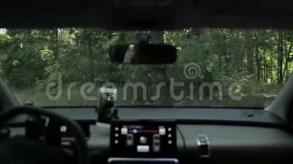 在森林的地面道路上开车的女人视频的预览图