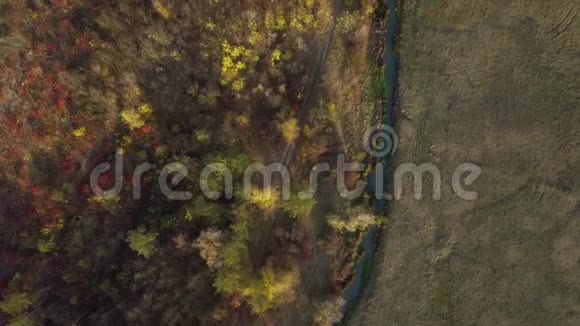 飞越秋山和森林的小河视频的预览图