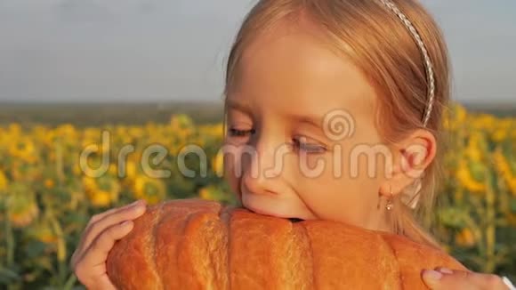 极端特写小女孩在向日葵的田野里吃面包女孩在户外吃面包视频的预览图